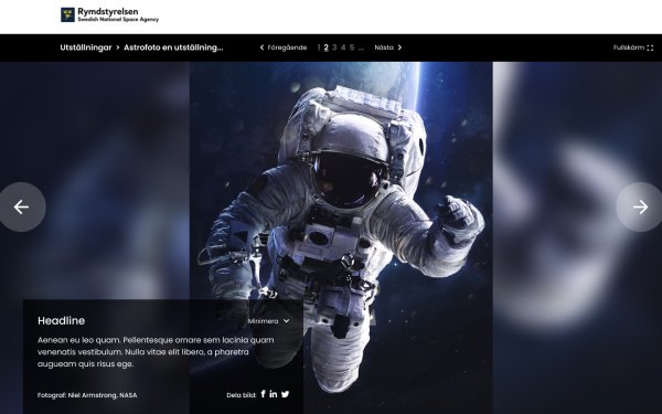 Digitala utställningar
